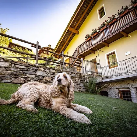Lo Micho - Le Four Des Alpes Rhemes-Saint-Georges